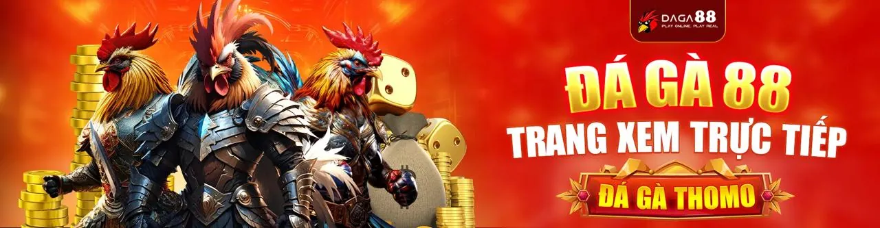 Hình ảnh chính sách tuân thủ GDPR của 777loc casino